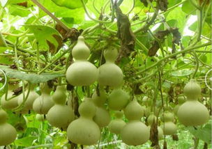 步骤一：选个好地方