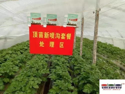 注意事项，别大意