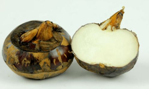 见光时机， 荸荠的阳光浴