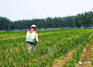 标题四：朋友推荐，Zui靠谱