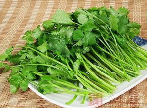 常食香菜，肾脏排毒效果佳