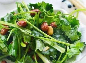 葵菜的口感与价值