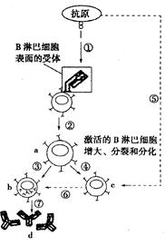 芽点的护理：耐心等待