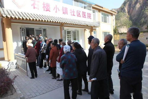 2024年10月19日蟠桃批发价及市场动态速览