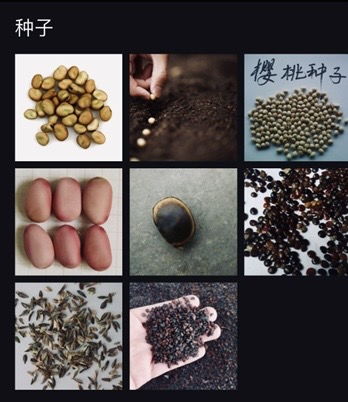 植物如何繁殖种子？种子是植物生命的延续吗