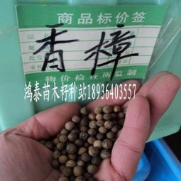 催芽容器底部必须开排水孔