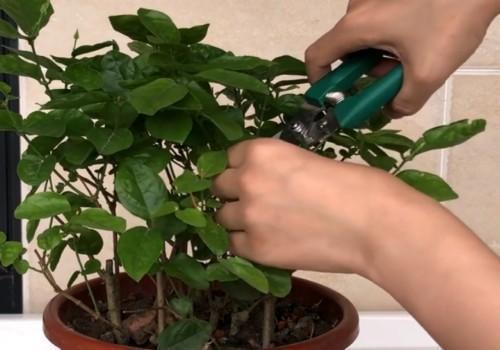 第一步：观察， 找到问题所在