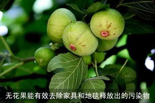 抗逆改过技术要点