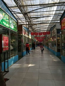 陈寨花卉市场过年期间开不开门？有花卉市场吗？