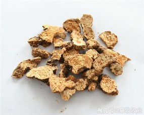 苍术在饲料中添加对动物生长性能和健康有哪些具体影响？