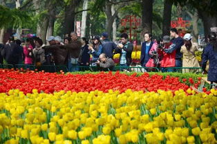 西安植物园4月赏花正当时错过这几个月可惜了