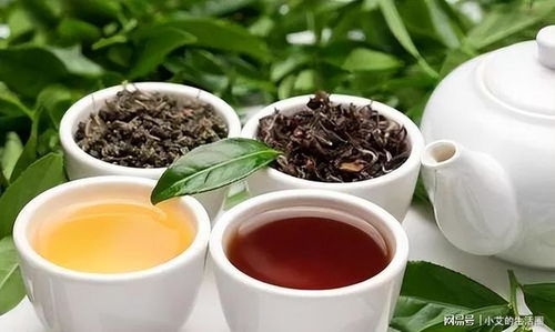 载垕福德茶价格揭晓：批发一罐仅需多少？
