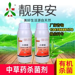 绿妃，黄瓜溃疡病的克星