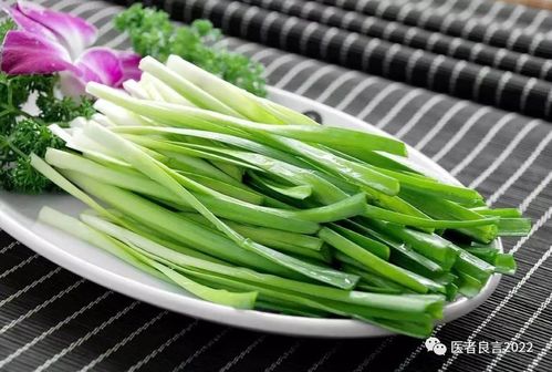 韭菜， 四季常青，室内种植好伙伴