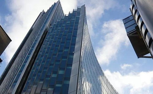 街道绿地：城市的绿色纽带