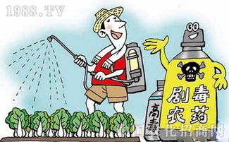 农民伯伯要这样Zuo