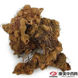 金荞麦栽培技术：探讨金荞麦种植方法与注意事项
