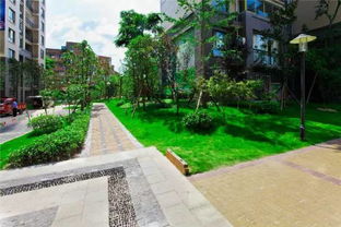 绿篱的概念和分类