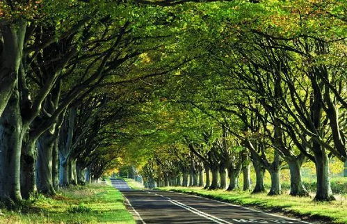 根据季节变化调整植物种类