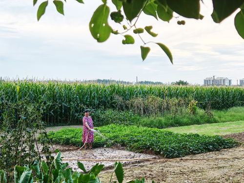 第一招：变温烘干法，降低损耗，提升单价