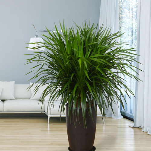 空间适配度决定生态价值