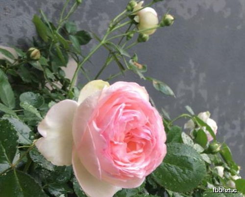 通风，别忘了这事儿