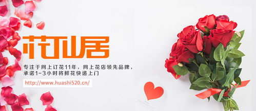 看望病人送什么花？表达关心与祝福