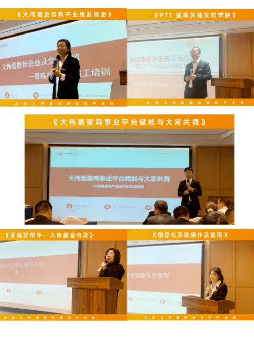 蛋鸡产业升级：挑战与机遇并存