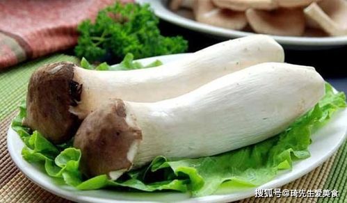 杏鲍菇早出，指在短时间内培育出成熟的杏鲍菇
