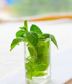 薄荷除根第四步：替代肥料的选择