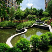 杭州园林绿化养护价格揭秘