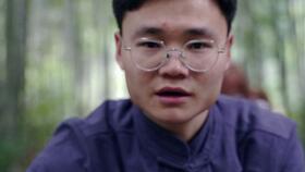 双“粽叶”，原来这些叶子都可以包