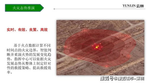 “智慧林，你从哪里来