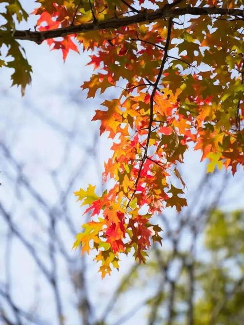 科学角度来解释