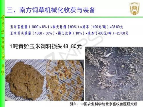 饲草中的氰苷，农业安全风险因子