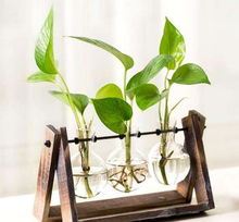 家里盆栽浇尿，真可行吗？