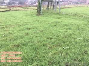 园林绿化资质办理