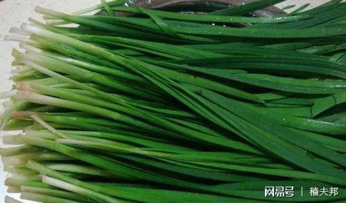 韭菜蚜虫天然杀虫剂有哪些？韭菜地线虫用什么方法有效防治？