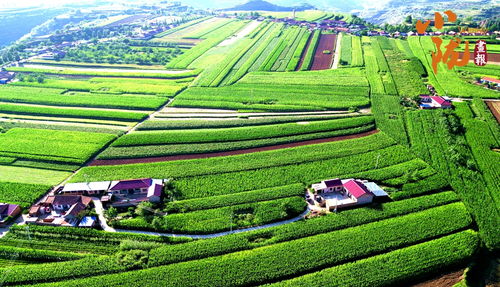 绿色发展，生态优势转化为产业优势