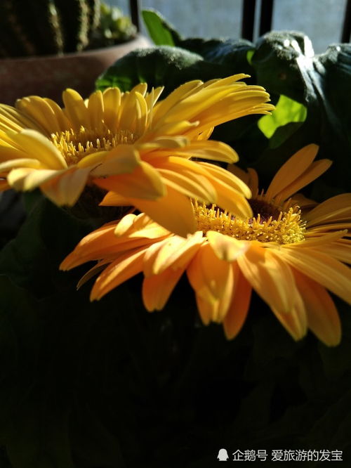 北方4月播种为何死光光？地温是关键