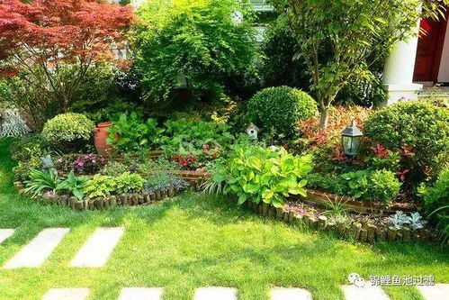 春天庭院种植， 草种选择指南