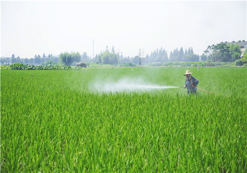 农药，这东西Neng不Neng拯救我的庄稼