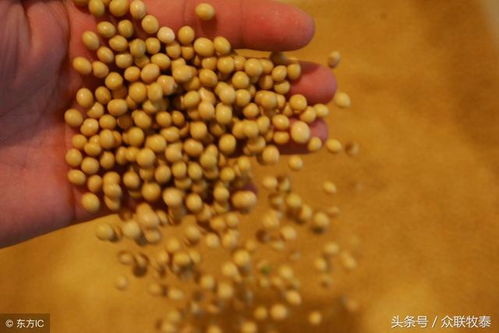 今日辽宁铁岭豆粕价格是多少？近期豆粕价格波动大吗？