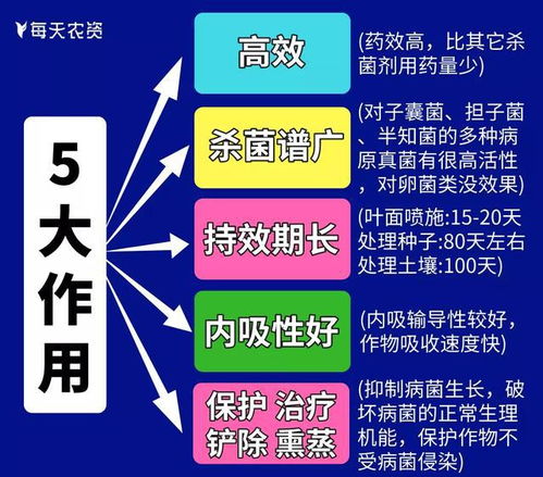 误用农药的悲剧：河南周口农户的教训