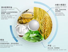 福建山茶油代理：专业OEM定制，品质保证！