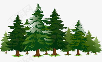 松树与动画卷：岁月的画卷