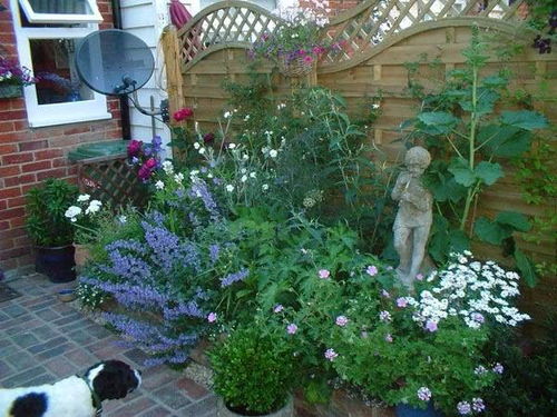 搭配得当，视觉盛宴