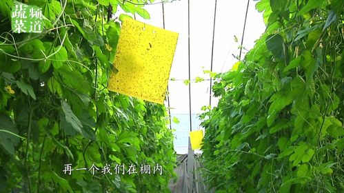 致命错误：避免这些坑