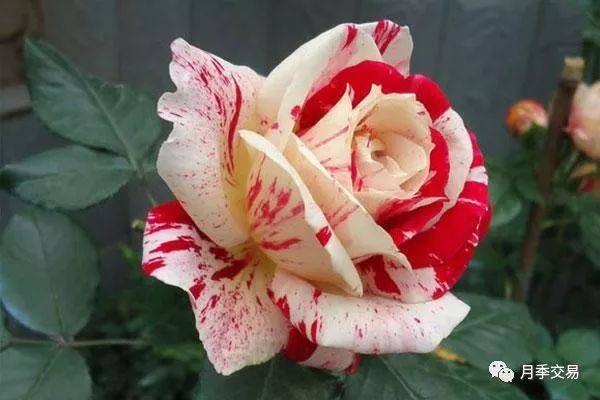 春秋季节，保持活力