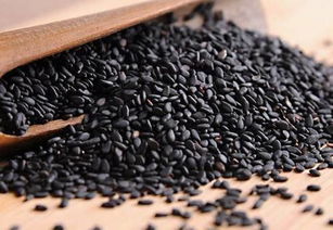 油茶籽的种植小知识